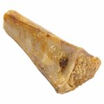 ecokind-stuffed-shin-bone-4inch-single-closeup-647732899504.jpg