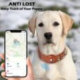 New-Removable-Locating-Pet-Collar-AirTag-Collar-Anti-Lost-Dog-Tracker-Protective-Case-Dog-Collar-Outdoors-31.jpg