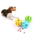 Dog-Ball-Toys-for-Small-Dogs-Interactive-Elasticity-Puppy-Chew-Toy-Tooth-Cleaning-Rubber-Food-Ball-1.jpg