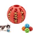 Dog-Ball-Toys-for-Small-Dogs-Interactive-Elasticity-Puppy-Chew-Toy-Tooth-Cleaning-Rubber-Food-Ball.jpg