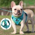 No-Pull-Dog-Harness-and-Leash-Set-Adjustable-Pet-Harness-Vest-For-Small-Dogs-Cats-Reflective-1.jpg